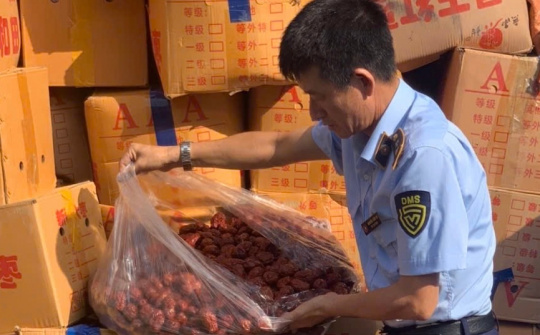 Phát hiện hơn 4 tấn táo đỏ nhập lậu không đảm bảo an toàn thực phẩm