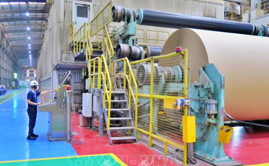 EPR thúc đẩy ngành Giấy đầu tư công nghệ tái chế tiên tiến, cải thiện công suất