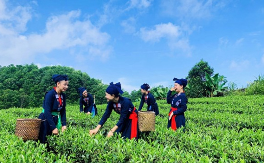 Ban hành Quy chế hoạt động Ban chỉ đạo Trung ương các chương trình mục tiêu quốc gia