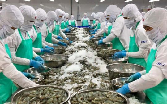 Quy định mới về cấp chứng nhận an toàn thực phẩm với cơ sở sản xuất nông, lâm, thủy sản