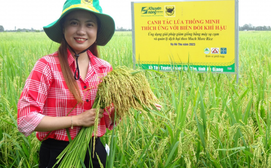 Thực trạng Can-xi (Ca) đất lúa vùng đồng bằng sông Cửu Long từ kết quả chương trình “Canh Tác Lúa Thông Minh”