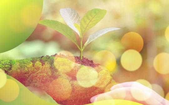 Chủ đầu tư dự án, chủ thể phát hành trái phiếu xanh sẽ đề nghị thực hiện xác nhận dự án đầu tư thuộc danh mục phân loại xanh