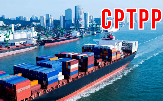 Củng cố vị thế CPTPP trong bối cảnh mới của thương mại toàn cầu