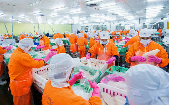 Thuỷ sản Nam Việt (ANV): Lãi nửa đầu năm tăng 18 lần, hướng đến mức lãi 1.000 tỷ đồng