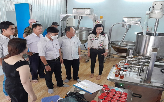 Khơi thông nội lực, tiếp sức công nghiệp nông thôn An Giang