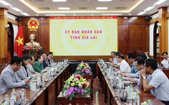 TTC AgriS (SBT): Muốn mở viện nghiên cứu, nâng gấp đôi công suất nhà máy đường tại Gia Lai