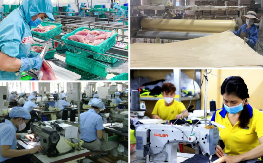 Hỗ trợ của nhà nước về phát triển khoa học công nghệ và đổi mới sáng tạo cho khu vực kinh tế tư nhân