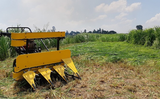 Công ty CP Cơ khí An Giang: Cần đổi mới sản phẩm để phục hồi tăng trưởng