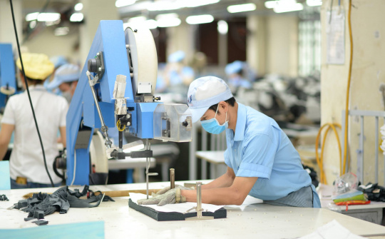 Dệt May Việt Nam (VGT): Lợi nhuận nửa đầu năm 2025 tăng 112%