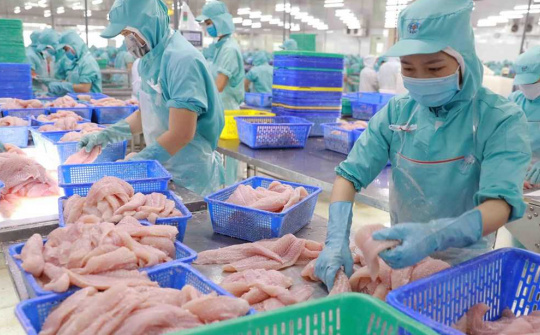 Xuất khẩu cá tra kỳ vọng tăng tốc trong nửa cuối năm
