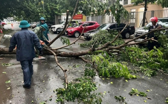 Hà Nội: Chủ động, tập trung ứng phó cơn bão bão WIPHA (bão số 3)