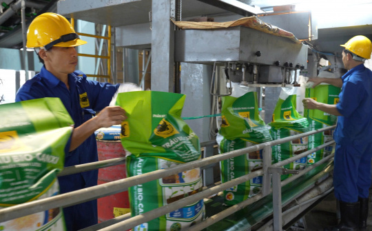 Hành trình đưa vi sinh vật vào phân bón Đầu Trâu Bio-Canxi