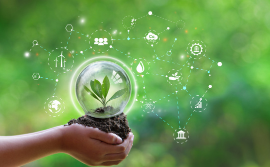 Pháp luật bảo vệ môi trường ở Việt Nam: Thực trạng và hướng hoàn thiện