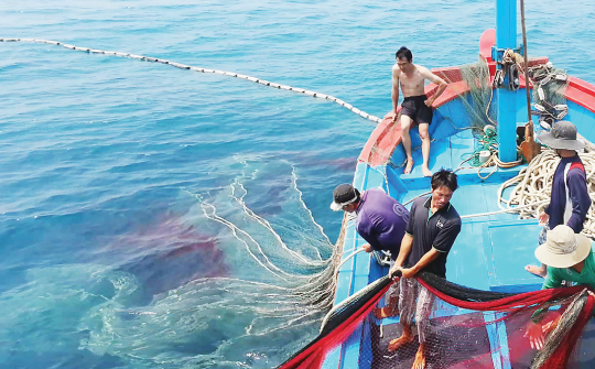 Công điện của Thủ tướng: Tăng cường chống khai thác thủy sản bất hợp pháp IUU