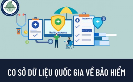 Quy trình xây dựng cơ sở dữ liệu bảo hiểm