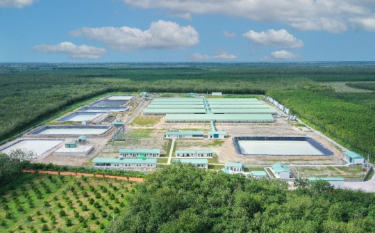 BAF Việt Nam (BAF): Tổng đàn heo tăng gấp đôi, lãi quý 2 “bùng nổ”