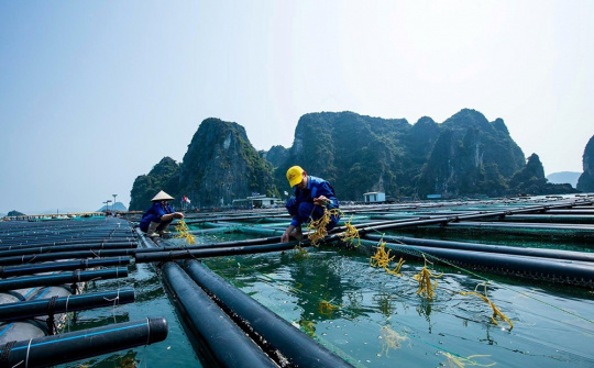 Khai thác và nuôi trồng thủy sản ở Việt Nam: Thực trạng và giải pháp