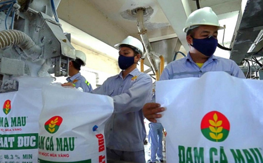 Đạm Cà Mau (DCM): Lãi quý 2 tăng vọt, có hơn 11.000 tỷ đồng tiền gửi ngân hàng
