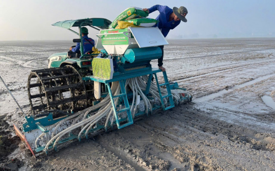 Lợi ích của phân bón cải tạo đất