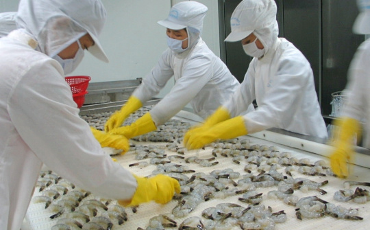 Thực phẩm Sao Ta (FMC): Doanh thu nửa đầu năm tăng 43%, giá thành sẽ giảm trong thời gian tới