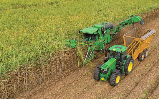 Lo ngại thiếu hụt nguồn cung, giá đường dự báo tiếp tục neo cao