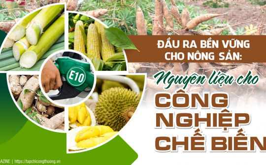 [eMagazine] Đầu ra bền vững cho nông sản - Nguyên liệu cho công nghiệp chế biến