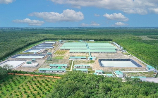 Lập thêm công ty con tại Ninh Bình, BAF Việt Nam (BAF) tăng tốc mở rộng chuỗi 3F