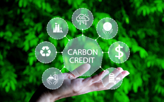 Thúc đẩy thị trường tín chỉ carbon hướng tới phát triển bền vững