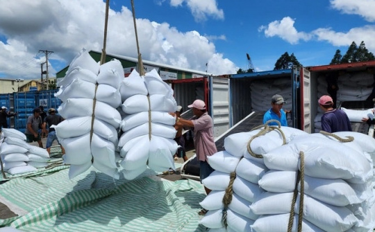 Philippines tạm dừng nhập khẩu gạo, Hiệp hội Lương thực Việt Nam kiến nghị Bộ Công Thương gỡ khó