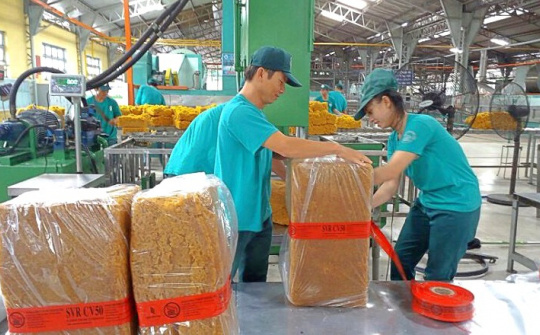 Có 2.000 tỷ đồng gửi ngân hàng, Cao su Đồng Phú (DPR) chốt chia cổ tức tiền mặt 20%