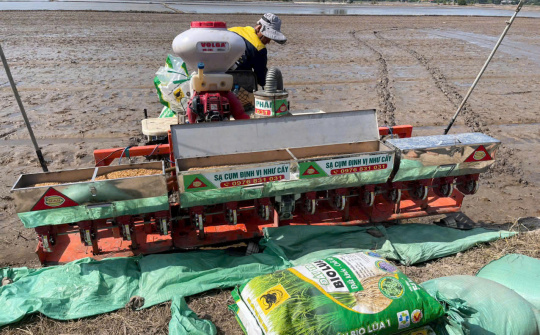 Hướng dẫn sử dụng phân bón đầu trâu Bio-canxi hiệu quả trong sản xuất lúa bền vững