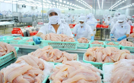 Xuất khẩu thủy sản dự báo tiếp tục tăng, VASEP kiến nghị gỡ khó về thuế GTGT