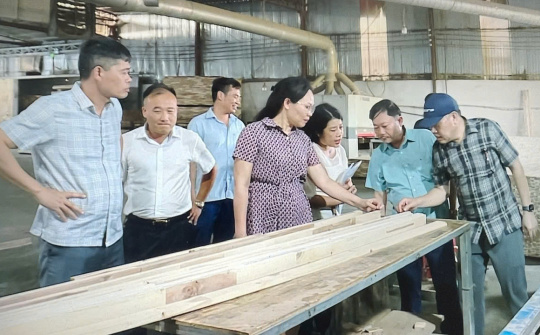 Thanh Hóa tăng tốc xúc tiến thương mại, khuyến công và tiết kiệm năng lượng