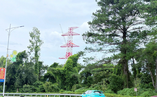 Sông Đà 5: tăng tốc về đích tại gói thầu khó nhất dự án đường dây 500kV Lào Cai – Vĩnh Yên