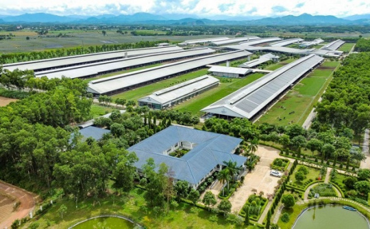 Vinamilk được vinh danh là thương hiệu sữa tiềm năng nhất thế giới