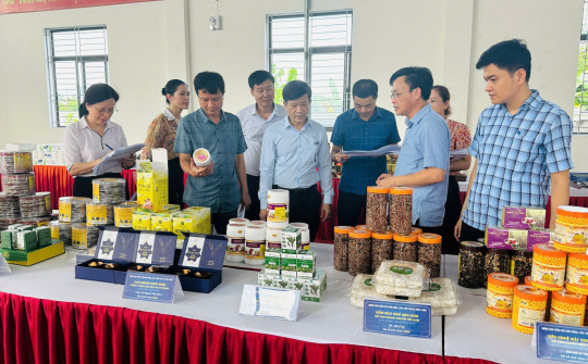 Công nghiệp nông thôn Hà Tĩnh bứt phá nhờ khuyến công đồng hành