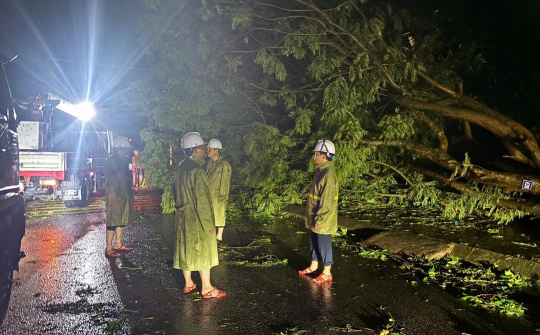 Lãnh đạo EVNNPC trực tiếp chỉ đạo khắc phục hậu quả bão số 5 tại Nghệ An, Hà Tĩnh