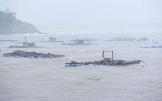 Nhanh chóng khắc phục hậu quả bão số 5 và mưa lũ, khôi phục sản xuất, kinh doanh