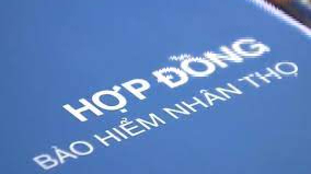 Bàn về khung pháp lý quy định chứng chỉ đại lý bảo hiểm nhân thọ tại Việt Nam