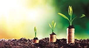 Tác động của tín dụng xanh đến hiệu quả hoạt động của các ngân hàng thương mại giai đoạn 2010 - 2023