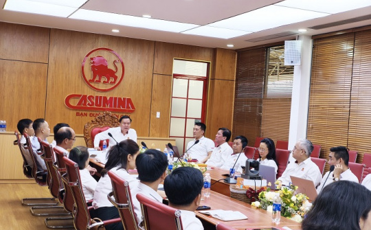 Casumina sơ kết 6 tháng đầu năm 2025: Tăng trưởng tích cực, thúc đẩy chuyển đổi số toàn diện