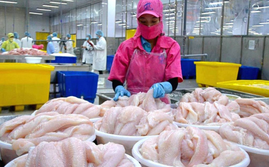 Xuất khẩu cá tra khởi sắc, Thuỷ sản Vĩnh Hoàn (VHC) báo lãi cao nhất 8 quý