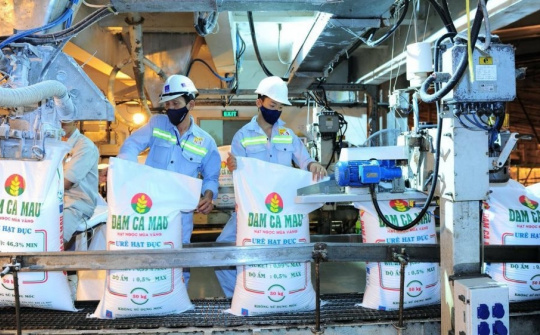 Giá ure kỳ vọng tiếp tục tăng, lãi ròng năm nay của Đạm Cà Mau (DCM) dự báo tăng 36%