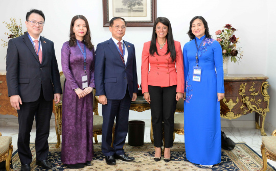 Việt Nam - Ai Cập: Hướng tới FTA và các cơ chế hợp tác mới