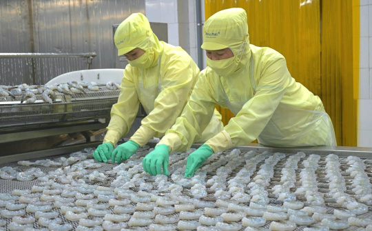 Tập trung làm hàng giá trị cao, Thủy sản Minh Phú (MPC) báo lãi cao nhất 10 quý