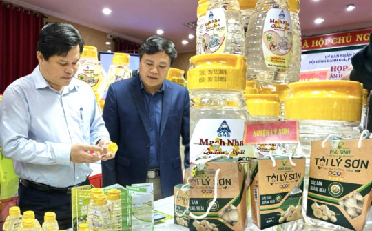 Quảng Ngãi: Nâng cao chất lượng sản phẩm OCOP
