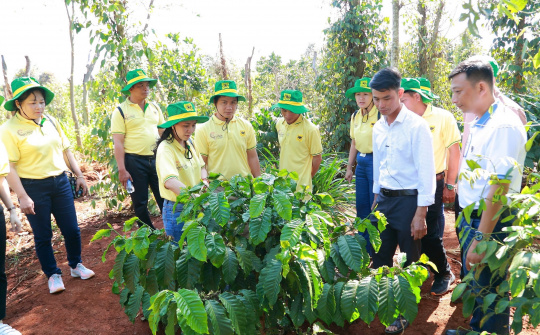 Hành trình mới cùng canh tác cà phê thông minh