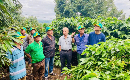 Tại sao cần canh tác cà phê thông minh?