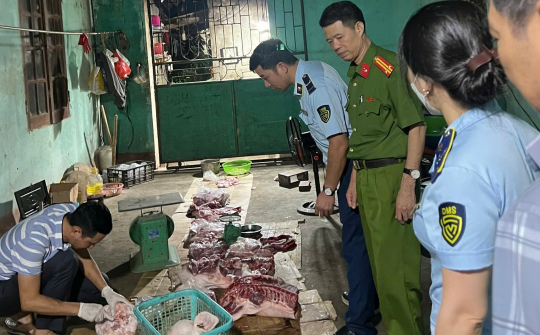 Thanh Hóa quyết liệt ngăn chặn dịch tả lợn Châu Phi, bảo vệ an toàn thực phẩm