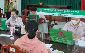 Giải pháp nâng cao năng lực hoạt động và năng lực tài chính của Ngân hàng Chính sách Xã hội Việt Nam